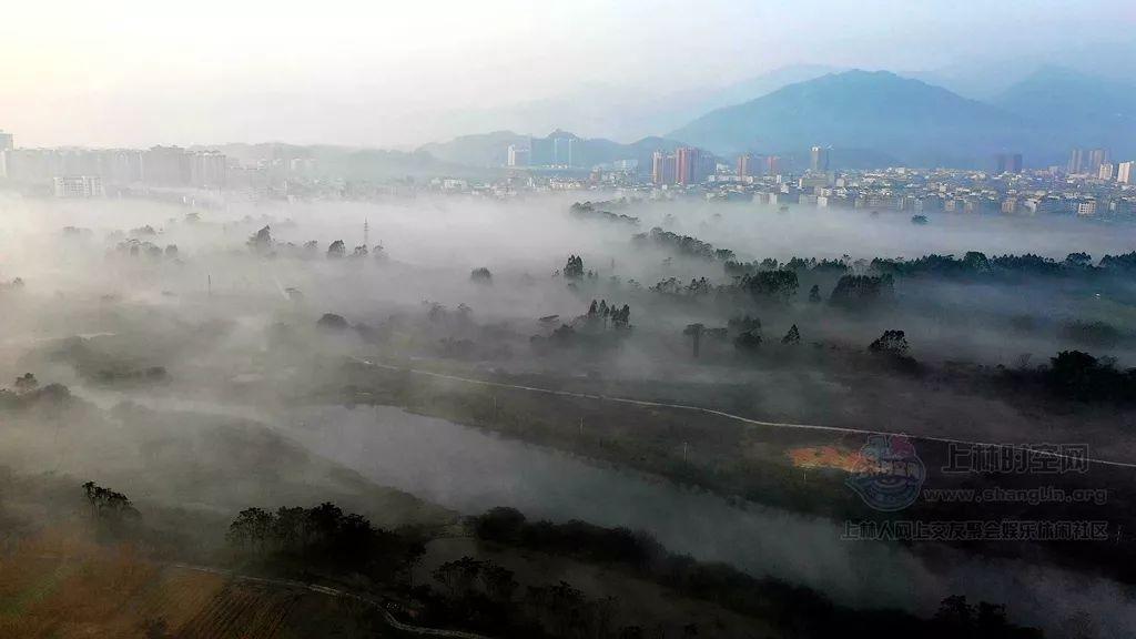 震颤类型及影响，需要引起重视？