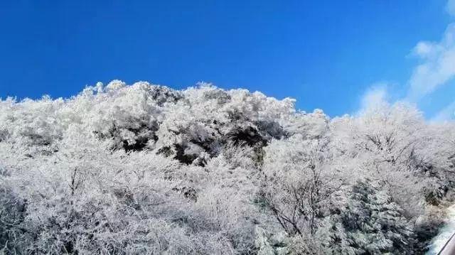 悟空除魔