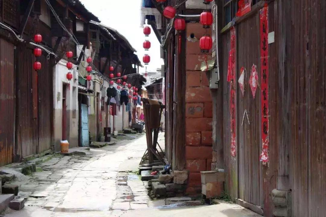 拯救毛茸茸男人